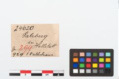 Etikett zu Bronzespiralröhrchen (NHMW-PRAE-024620)